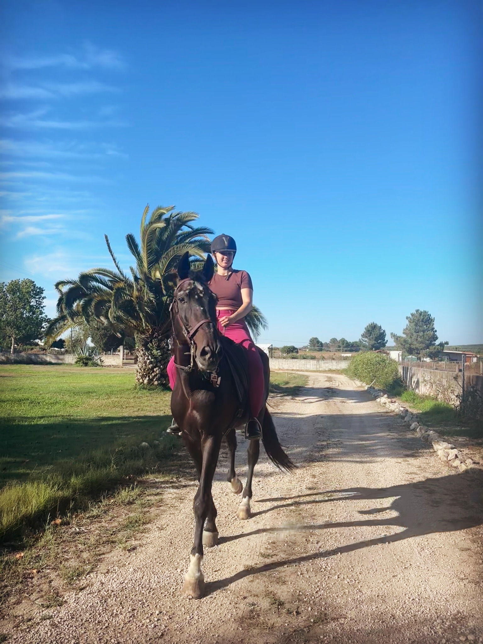 Rita riding a horse at a horse farm